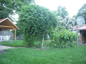 Bemutatkozás